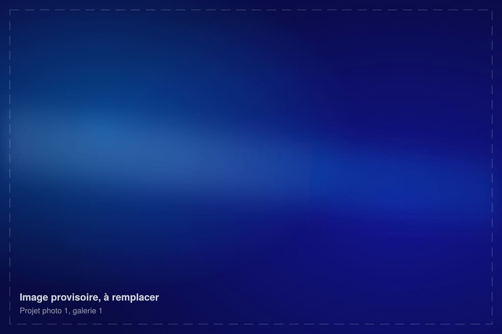 Image provisoire 1 de la galerie du projet d’exemple